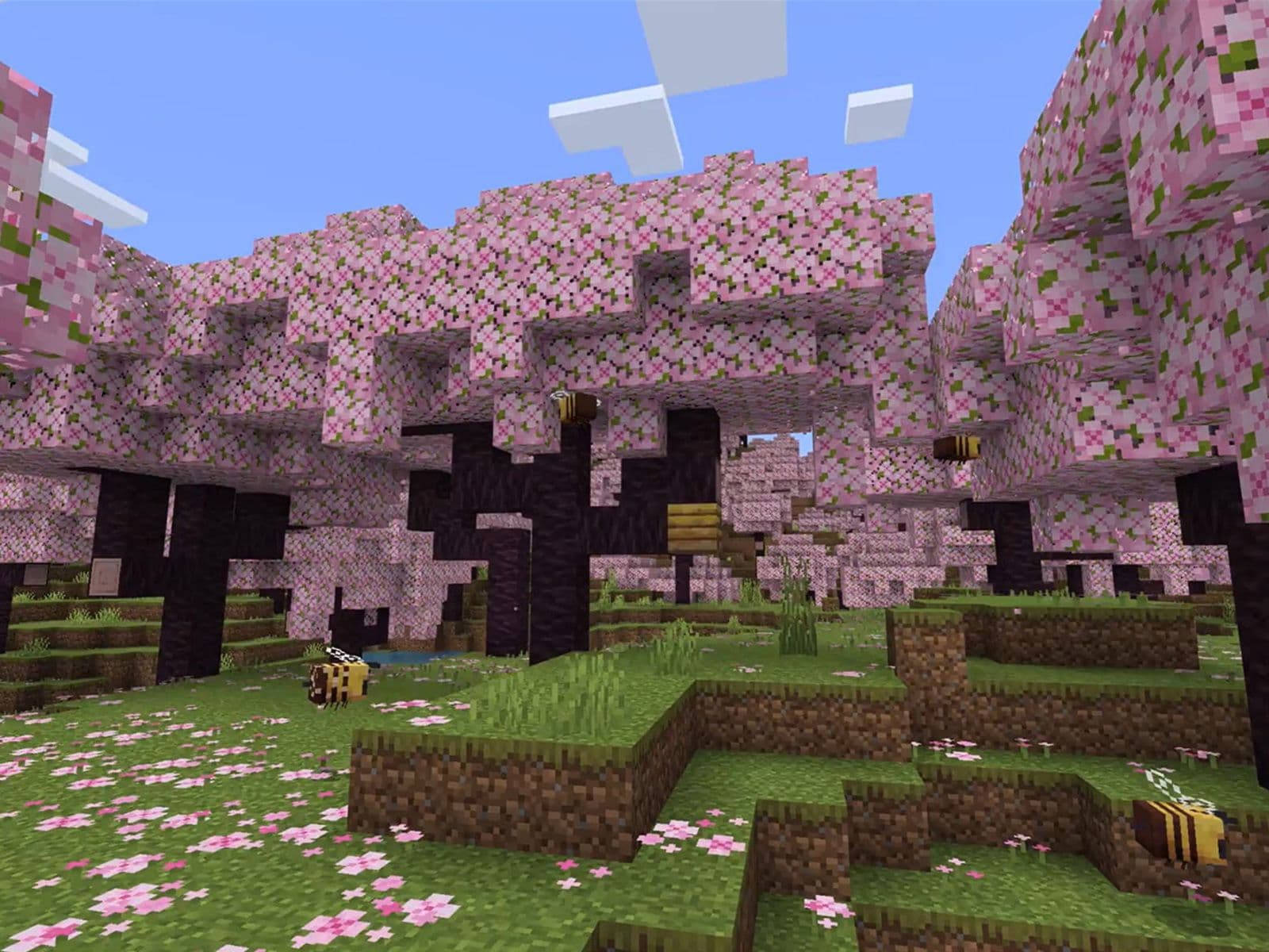 Budget Minecraft